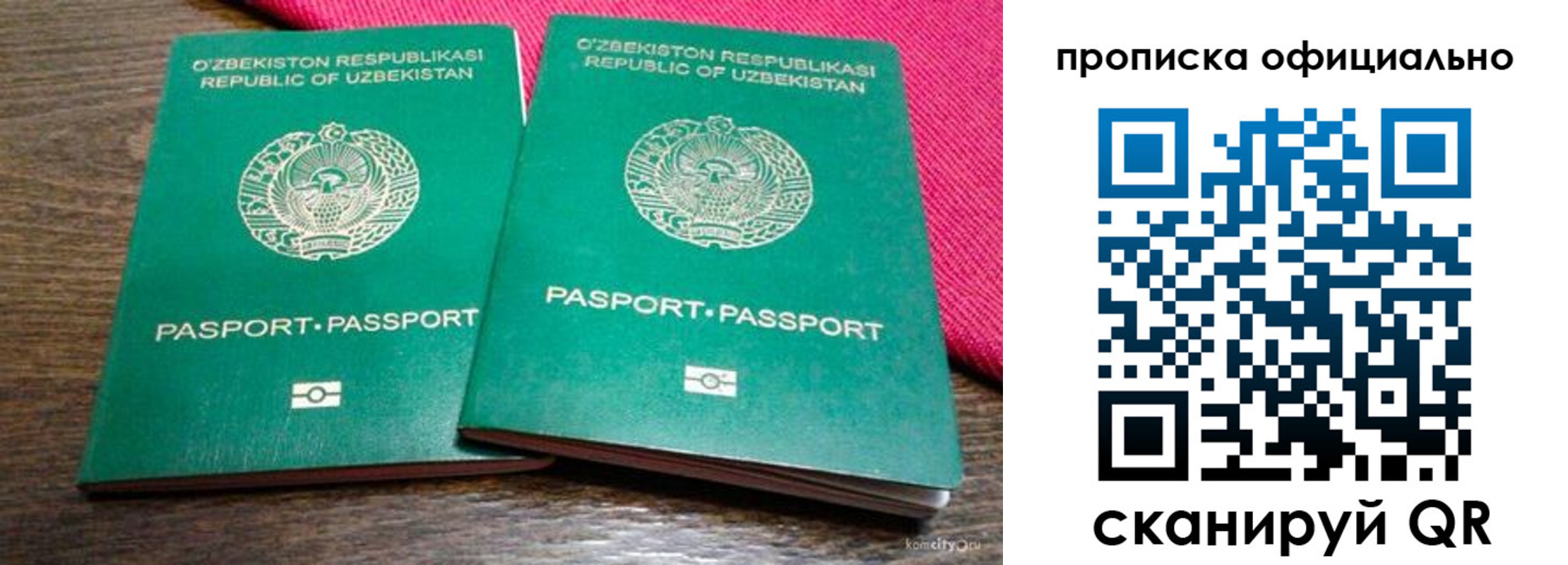 прописка для школы в Архангельской области
